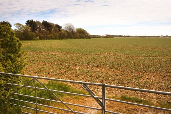 Sussex greenfield land under threat of development