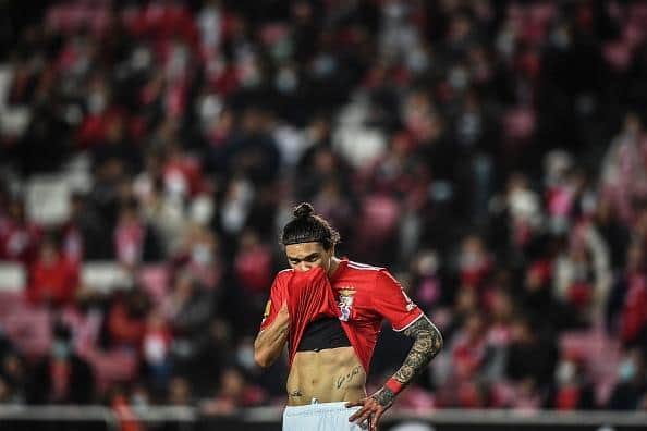 Benfica striker Darwin Nunez was in talks with Brighton but Manchester United and Newcastle United are now keen