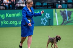 Lauren and Winston competing at this year's Crufts event. Picture by Sandy Young.