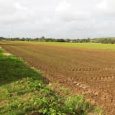 Chatsmore Farm. Picture by Derek Martin