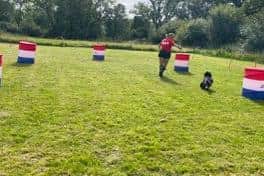 Currently, Enriched Dog Training UK offers 1-1 dog training and Canine Hoopers classes – a sport in which dogs navigate a course of hoops, barrels and tunnels with the help and support of their owners