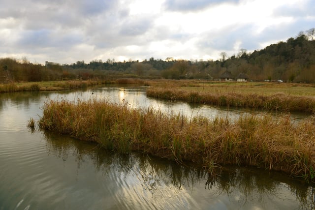 Arundel Wetland Centre is offering two-for-one admission to National Lottery players from March 19-27.