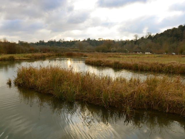 Arundel Wetland Centre is offering two-for-one admission to National Lottery players from March 19-27.