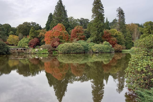 Sheffield Park and Garden, near Uckfield, is offering free entry to National Lottery players from March 19-27.
