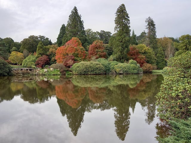 Sheffield Park and Garden, near Uckfield, is offering free entry to National Lottery players from March 19-27.