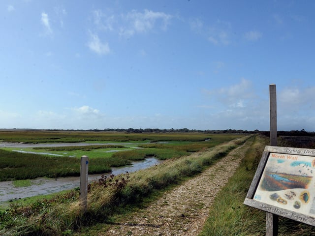 RSPB Pagham Harbour nature reserve is offering two free guided tours to National Lottery players on March 19, from 10am-midday and 1pm-3pm.
