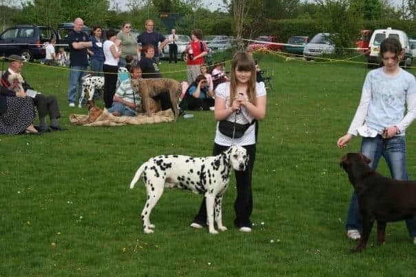 Boxgrove Companion Dog Show takes place on the sports field at Boxgrove Village Hall
