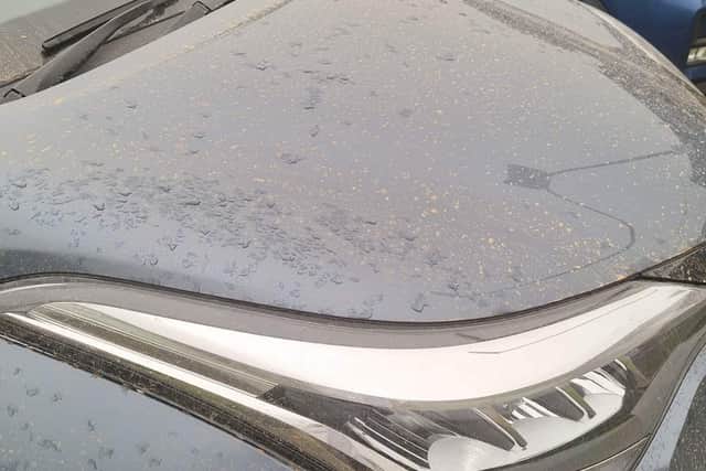 Dust on Hannah Johnson's car