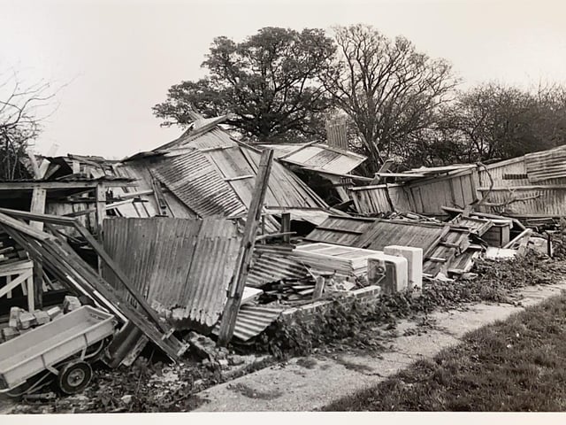 This picture was captioned 'Newbridge Nurseries' and was taken in 1984
