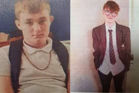 Missing Alfie and Riley. Photo from Sussex Police. SUS-220318-174243001