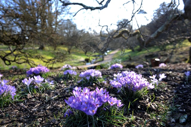 Spot the wildlife and year-round colour in its valleys, and explore over 500 acres of ornamental gardens, ancient woodlands and a nature reserve. Picture: Steve Robards