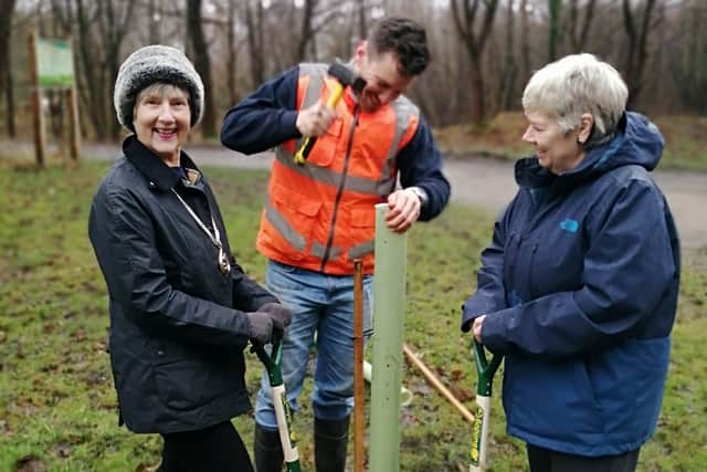 Julie Blackwell, president of Soroptimist International Southern England region, alongside Dane Brewer and Liz Batten planting elms at Longmoor