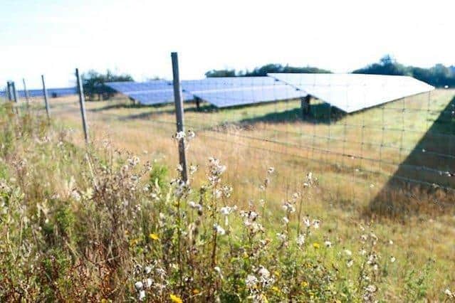 Cllr Sean Macleod said the solar farm has clear ambitions to provide a biodiversity net gain of 200%, as the Lewes District aims to be carbon neutral by 2030