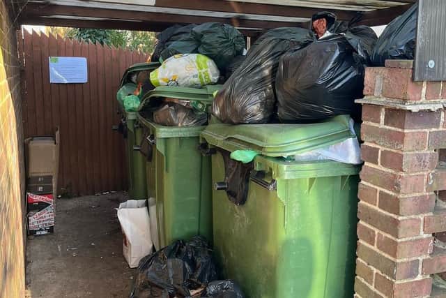 Whilst the strike is ongoing, there will be no refuse, recycling, green waste, commercial waste or bulky item collections. Photo: Gary Palmer / Twitter