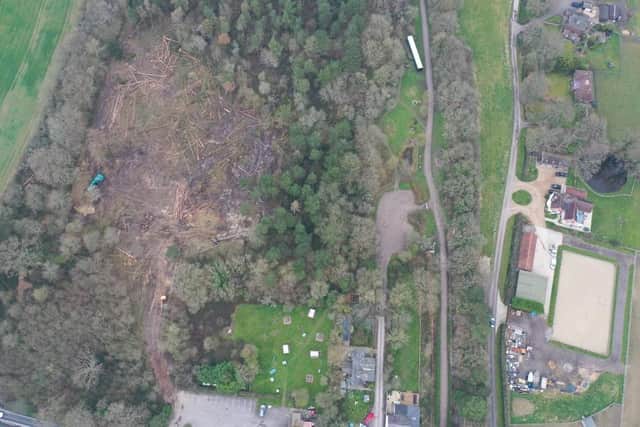 Woodland in West Grinstead has been illegally felled