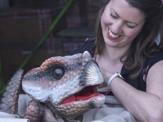 Sophie the animatronic T-Rex paid a visit to children at Lewes Old Grammar Junior School SUS-220323-102954001