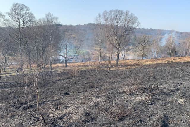 The scene of the Nutley wildfire on Tuesday, March 22. Picture: East Sussex Fire and Rescue Service.
