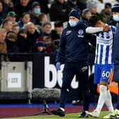 Brighton and Hove Albion have had their injury issues in the Premier League this season