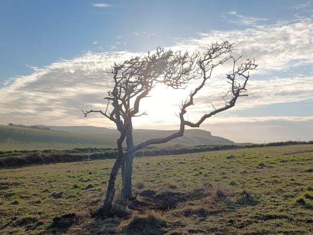 Tracy Owen took this photo up on the Downs during an early morning run. SUS-220323-155956001