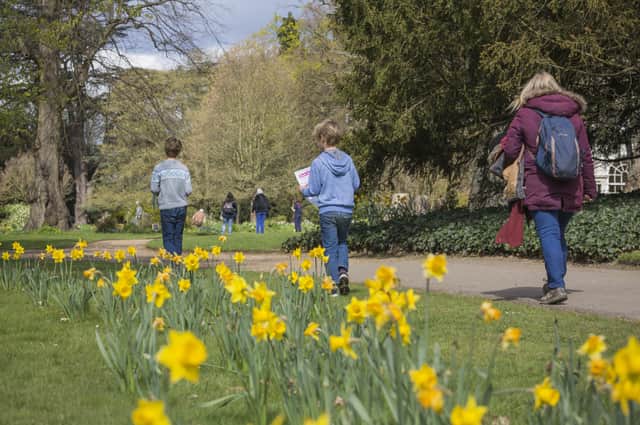 Easter trail are taking place at National Trust properties across Sussex. Photograph by James Dobson