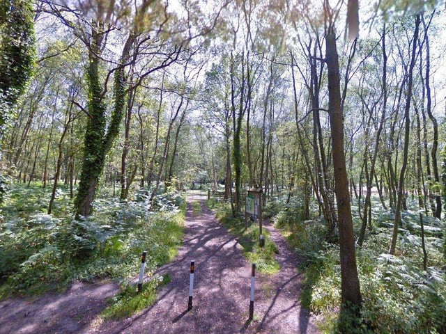 April 1, 10.30am – A one-hour, 1 to 1.5-mile flat walk with occasional short inclines and declines. No dogs. Meet: Lynchmere Society Noticeboard at the main entrance to the site on the western side of the common (what3words: ///thudding.uttering.inherits).