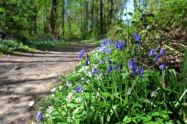 HeartSmart walks take place across the Chichester district each week. Photo: Steve Robards.