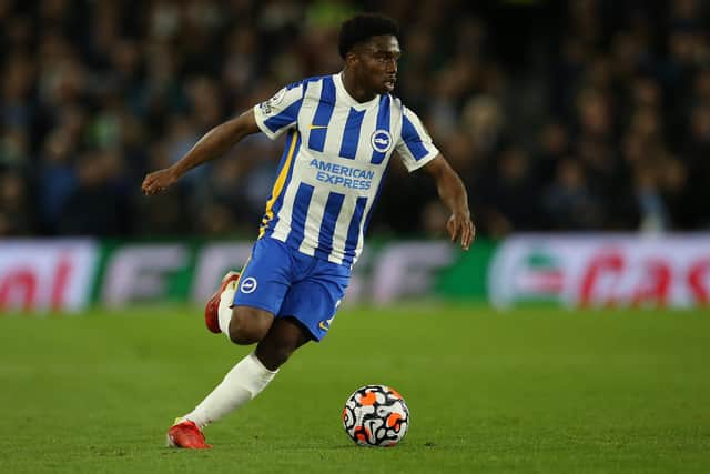 Brighton & Hove Albion defender Tariq Lamptey has withdrawn from the England under-21 squad. Picture by Steve Bardens/Getty Images