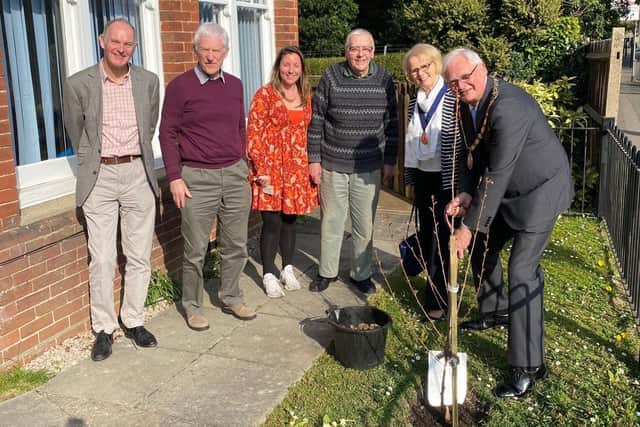 Haywards Heath town mayor Howard Mundin helps plant a cherry tree at The Yews. Picture: Haywards Heath Town Council.