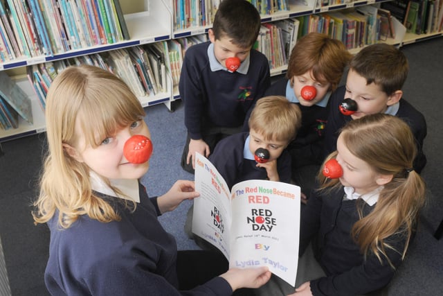 Lydia Taylor, 11, from Slindon Primary School, produced a book to raise money for Comic Relief