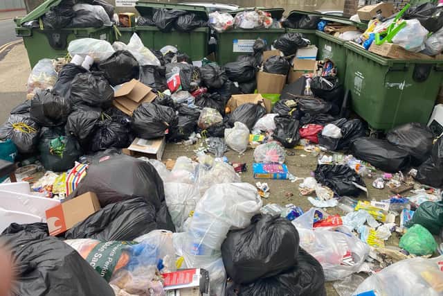 Uncollected rubbish in Stoke Abbot Road. Photo: Eddie Mitchell