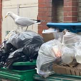 Rubbish overflowing bins in Marine Place, Worthing. Photo: Eddie Mitchell