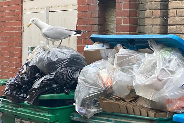 Rubbish overflowing bins in Marine Place, Worthing. Photo: Eddie Mitchell