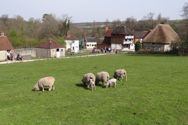 The Weald and Downland Living Museum's spring programme includes inspiring Historic Life Weekends to traditional Easter celebrations and fun-filled school holiday activities