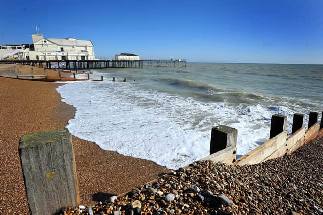 Seasonal restrictions will come into force for dog walkers soon, including at Bognor beach. Picture: Steve Robards