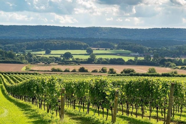Nyetimber and Pagham had 955.1 Covid-19 cases per 100,000 people in the latest week, a rise of 93.5 per cent from the week before.