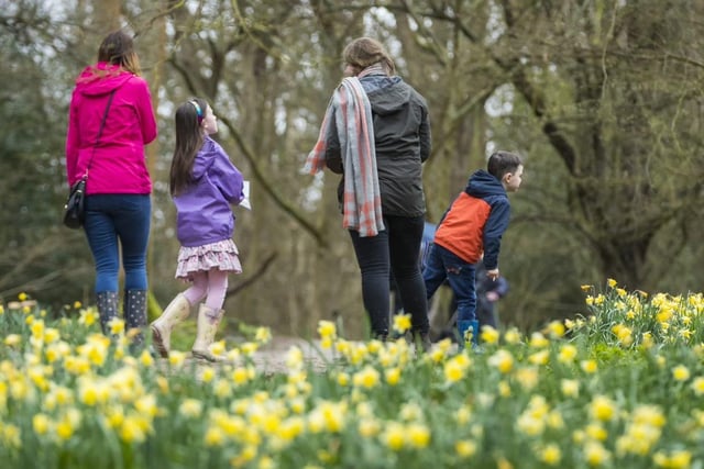 Sheffield Park, Haywards Heath.

April 2-24. Find and complete 10 nature-inspired activities that are hiding along the way. A butterfly count and creating nature art are just some of the activities you can experience. Normal admission plus £3 per trail, includes a chocolate egg.