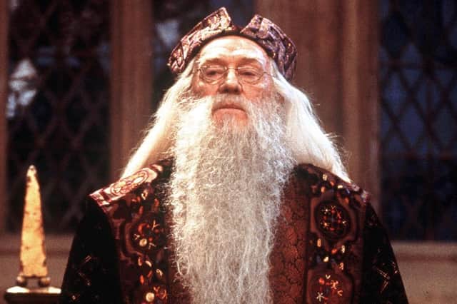 Professor Dumbledore, who may have been named after an unlikely insect. Photo credit AFP/AFP via Getty Images
