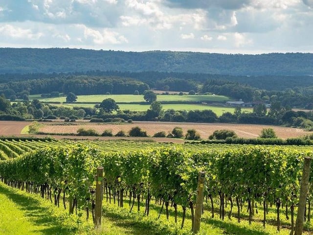 73.3 per cent of homes in Nyetimber and Pagham have an EPC rating of D or lower.