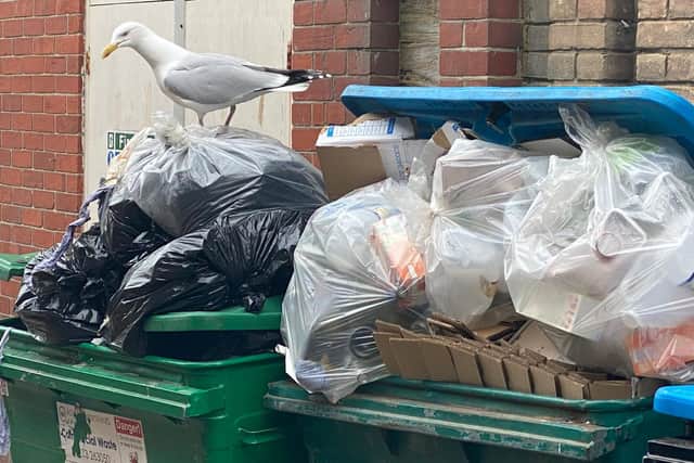 Rubbish piling up in Marine Place, Worthing. Photo: Eddie Mitchell