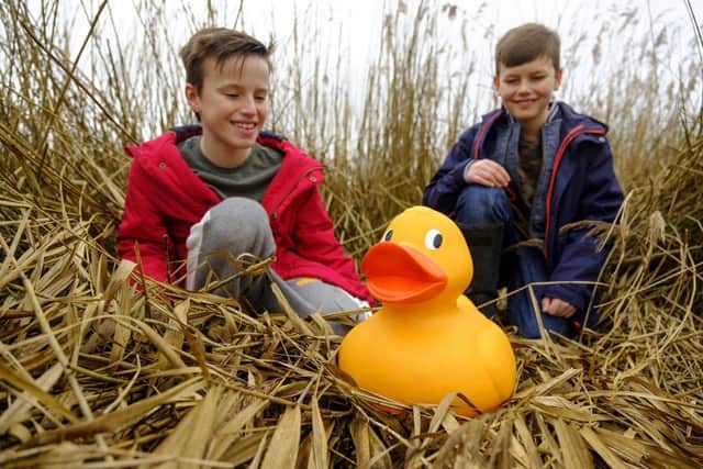 This Easter, Arundel Wetland Centre is hosting its duck trail, from Friday, April 8 to Sunday, April 24.