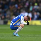 Alexis Mac Allister at the end final whistle of Brighton's 0-0 draw with Norwich City
