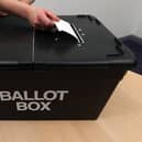 A third of seats are up for election at Crawley Borough Council next month