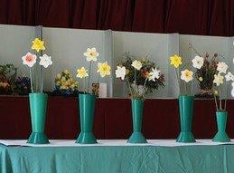 Steyning Horticultural Society had a wonderful display for its spring flower show, including a magnificent contribution from Steyning Flower Club