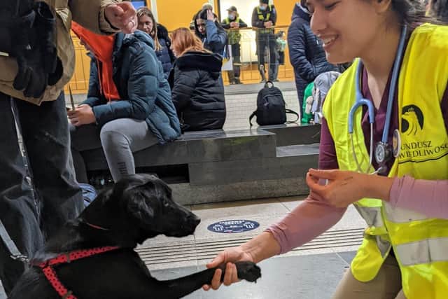 Anushka Tuladhar, who is joining the Northdale team later this year, has been working alongside other volunteers and highlighted to staff the 'urgent need' for supplies for pets at the station who are arriving often without anything.