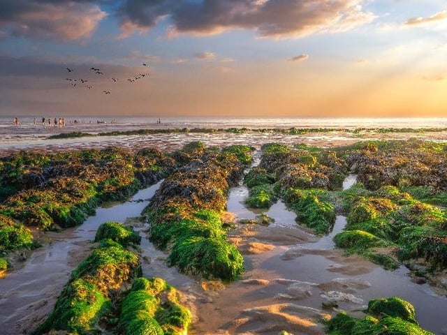 "The best time at Birling Gap when the crowds have gone," said Ralph Davies, who sent in this stunnng sunset picture, with the sea at low tide showing all the rockpools. SUS-220504-095827001