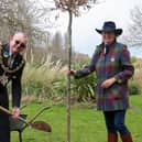 Worthing mayor Lionel Harman and Caroline Nicholls, a Deputy Lieutenant of West Sussex, planting an English oak at Beach House Park in Worthing