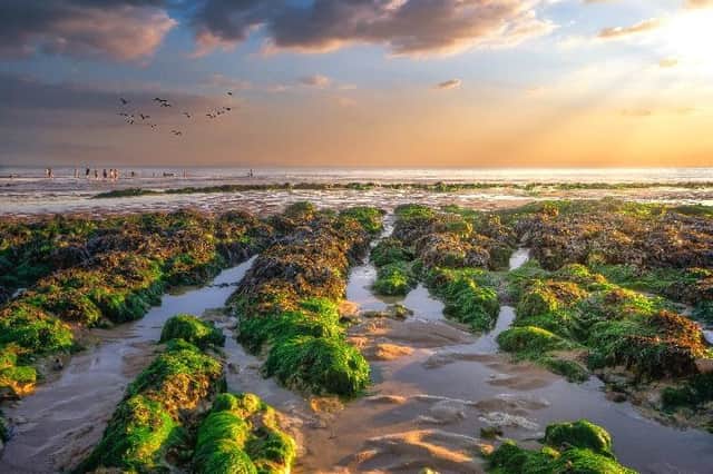 "The best time at Birling Gap when the crowds have gone," said Ralph Davies, who sent in this stunnng sunset picture, with the sea at low tide showing all the rockpools. SUS-220504-095827001