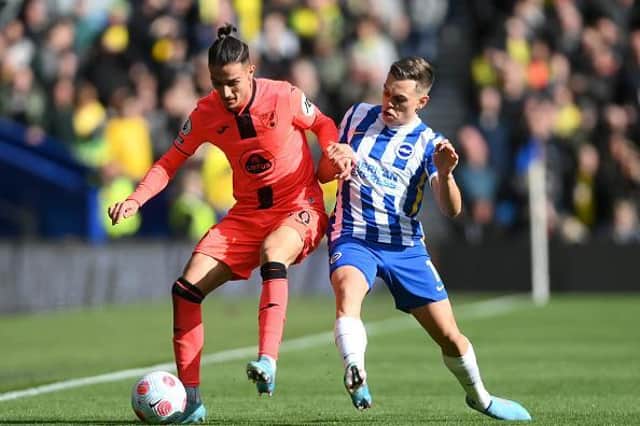 Brighton attacker Leandro Trossard struggled to find a way through the Norwich defence at the Amex Stadium last Saturday