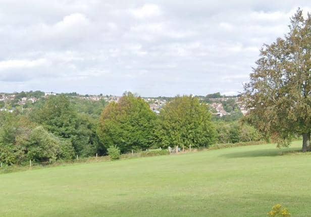 Up to 200 trees at Withdean Park could be lost, the council said