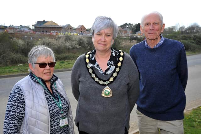 Nikki Hamilton-Street, centre, said the council will continue to hold developers to account and ‘look towards sustainable developments’, despite a ‘sense of rising despair’. Photo: Steve Robards